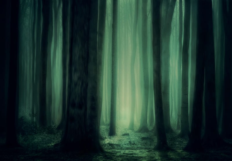 Mysterious Shadows